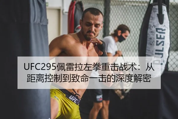 UFC295佩雷拉左拳重击战术：从距离控制到致命一击的深度解密