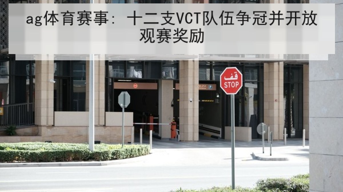 ag体育赛事: 十二支VCT队伍争冠并开放观赛奖励
