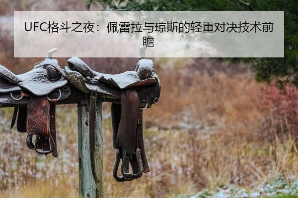 UFC格斗之夜：佩雷拉与琼斯的轻重对决技术前瞻