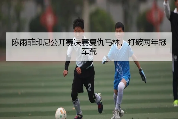 陈雨菲印尼公开赛决赛复仇马林，打破两年冠军荒