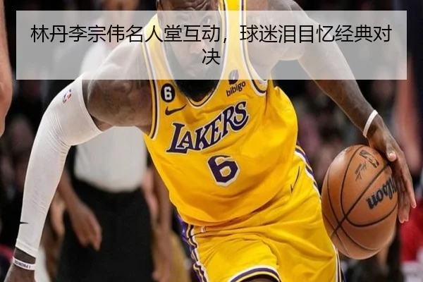 林丹李宗伟名人堂互动，球迷泪目忆经典对决